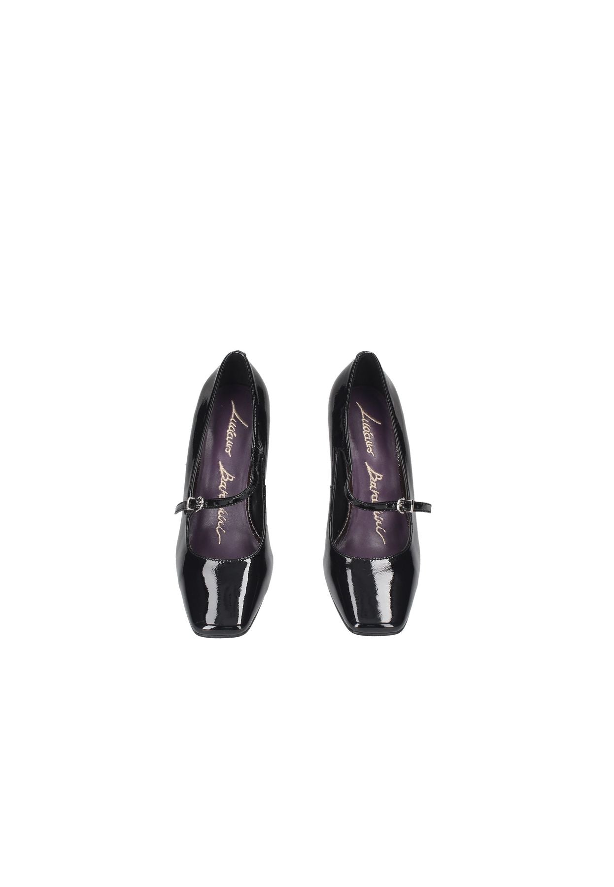 SL121 LUCIANO BARACHINI Pumpen