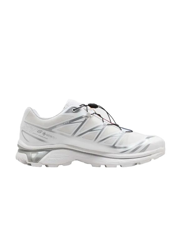 Scarpe XT-6 GTX White/White/Silver
