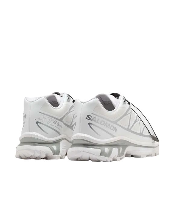 Scarpe XT-6 GTX White/White/Silver