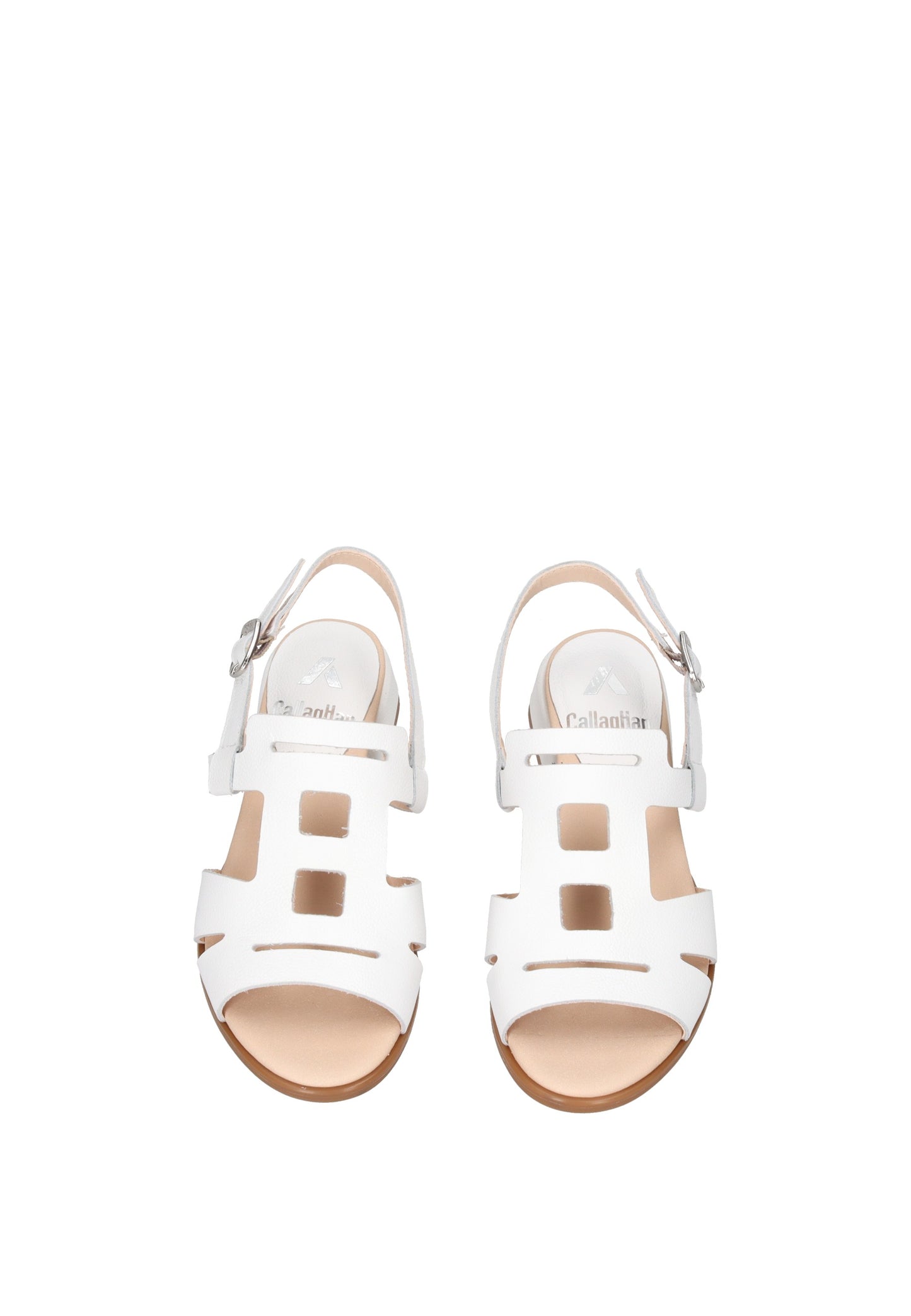 34407 Sandalo CALLAGHAN